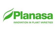 planasa